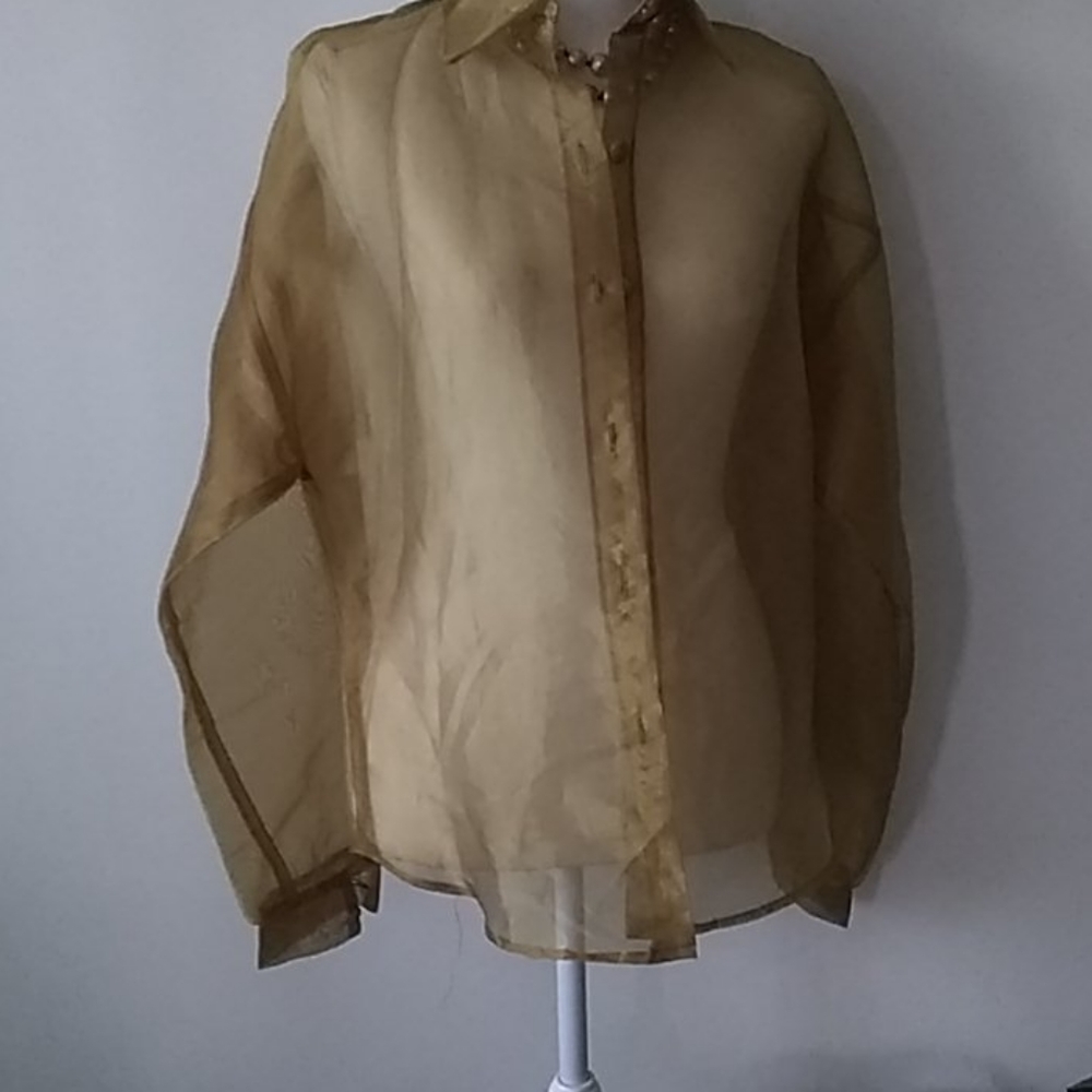 Sheer button down blouse with matching sca…